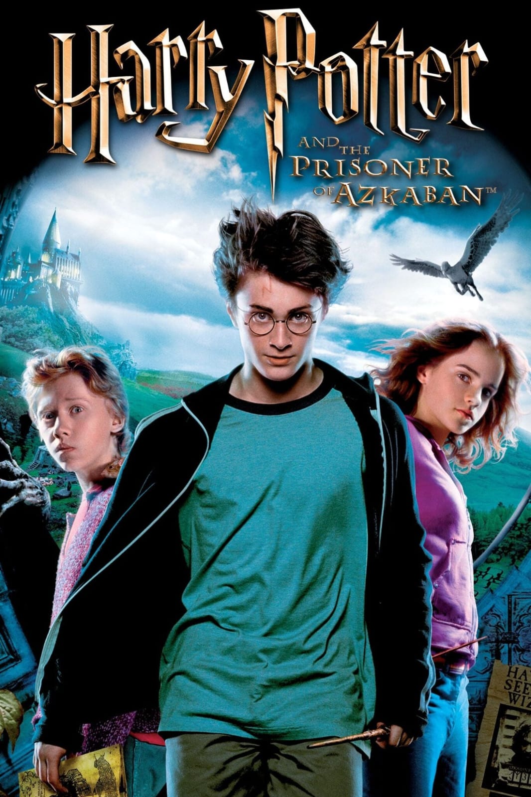 Terceiro filme da saga com os personagens principais no centro e fundo mostrando uma vegetação e um castelo